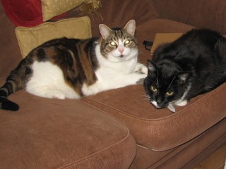 Sisters: Amber & Mina. Wonderful days...